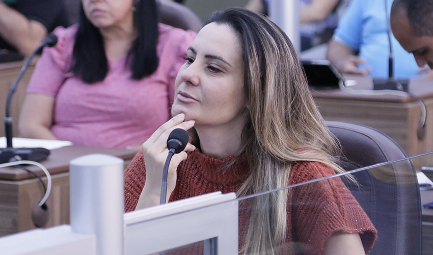 CRISTIANE CARDENA SOLICITA REDUTOR DE VELOCIDADE NA RUA EVILÁSIO MASSAINE PIRES